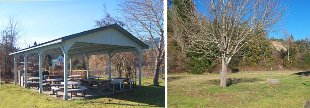 Public picnic areas at Brinnon Visitor's Center