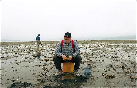 Local Clamming