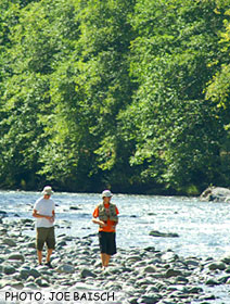 Walking the Dosewallips River